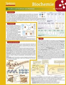 Lerntafel: Biochemie im Überblick (Lerntafeln Biologie) | Buch | Zustand sehr gut