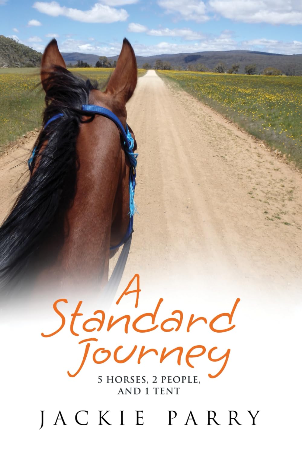 A Standard Journey: 5 horses, 2 people, and 1 tent
