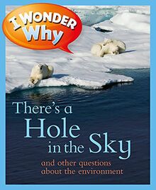 I Wonder Why There's a Hole in the Sky: And Other Questions about the Environment