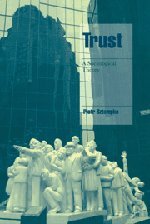 Trust: A Sociological Theory (Cambridge Cultural Social Studies)