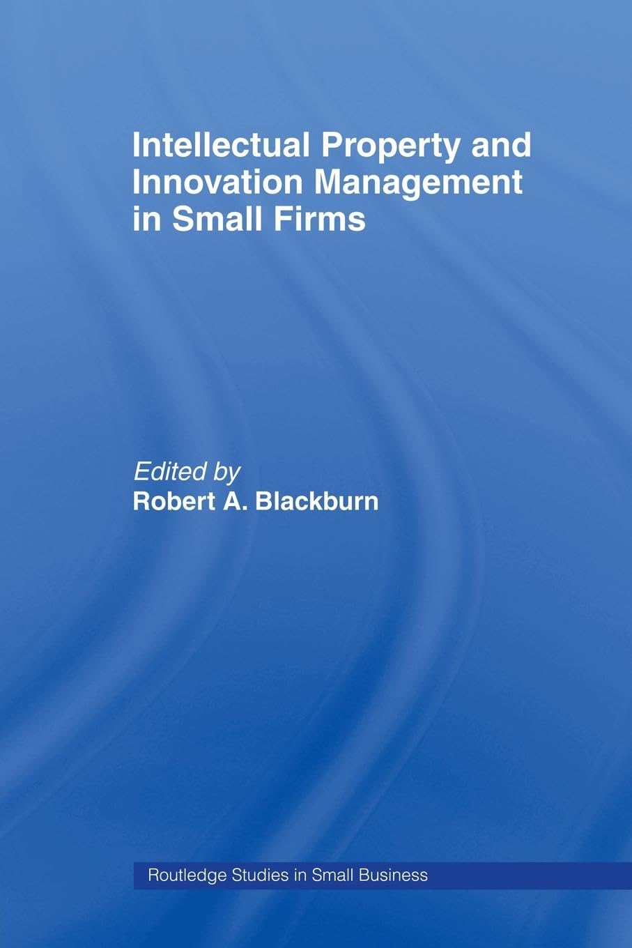 Intellectual Property and Innovation Management in Small Firms (Routledge Studies in Small Business, 7, Band 7)