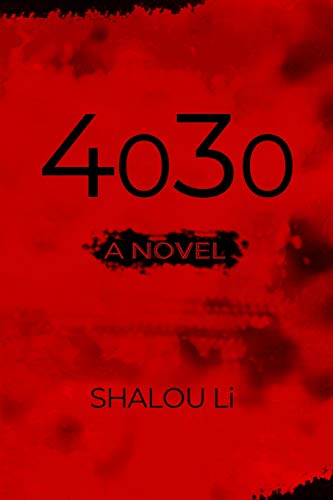 4030: A Novel