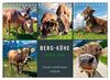 Berg-Kühe, Natur pur - unser schönster Urlaub (Wandkalender 2023 DIN A4 quer), Calvendo Monatskalender