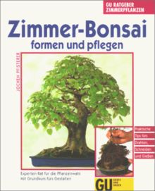 Zimmer Bonsai formen und pflegen