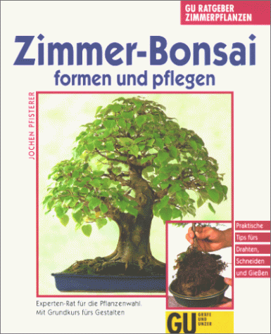 efeu schutz Zwerg Strauch Efeu Hedera helix Arob… main image 1