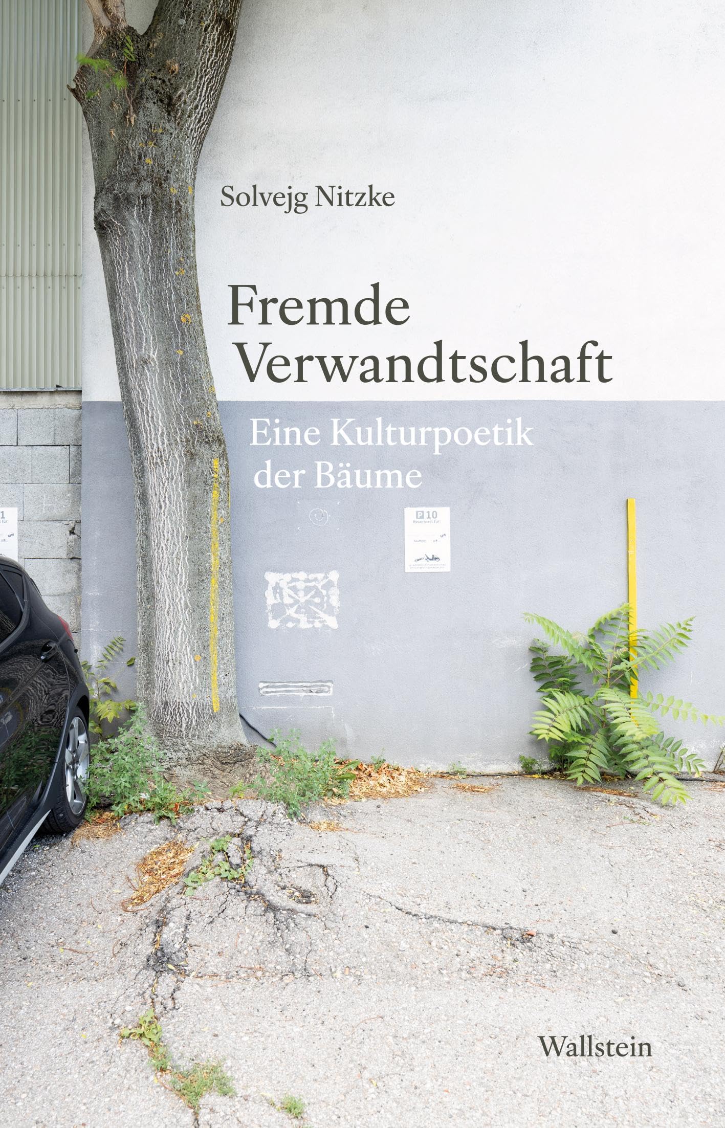 Fremde Verwandtschaft: Eine Kulturpoetik der Bäume