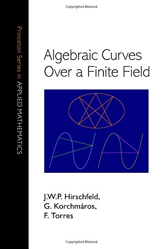 Algebraic Curves over a Finite Field (Princeton Series in Applied Mathematics, Band 20)
