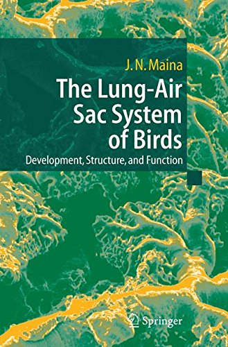 The Lung-Air Sac System of Birds: Development, Structure, and Function