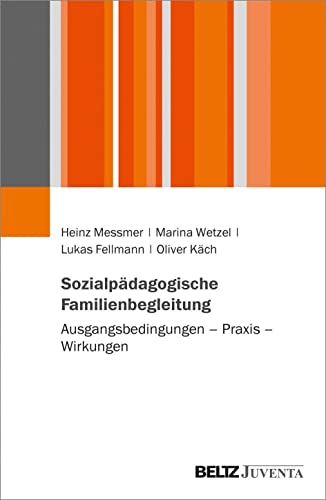 Sozialpädagogische Familienbegleitung - Heinz Messmer Marina Wetzel Lukas Fellmann Oliver Käch Kartoniert (TB)