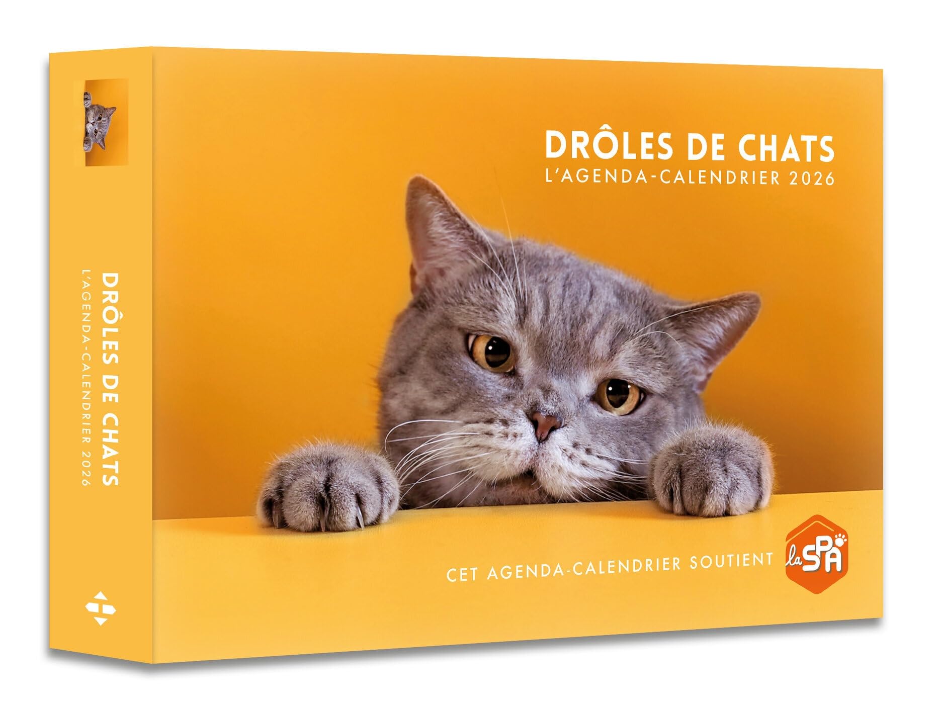Agenda : Calendrier Drôles de chats 2026