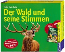 Der Wald und seine Stimmen