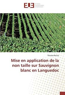 Mise en application de la non taille sur Sauvignon blanc en Languedoc