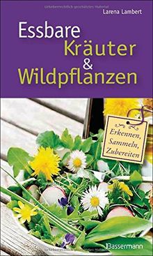 Essbare Kräuter und Wildpflanzen: erkennen, sammeln und zubereiten