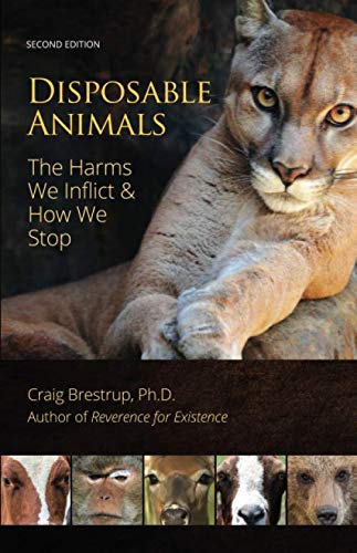 Disposable Animals: The Harms We Inflict & How We Stop