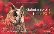 Geheimnisvolle Natur 2016: 365 faszinierende Fotografien