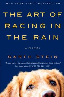 The Art of Racing in the Rain: A Novel