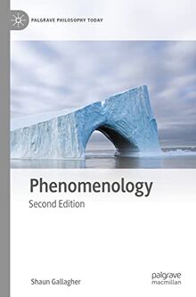 Phenomenology (Palgrave Philosophy Today)