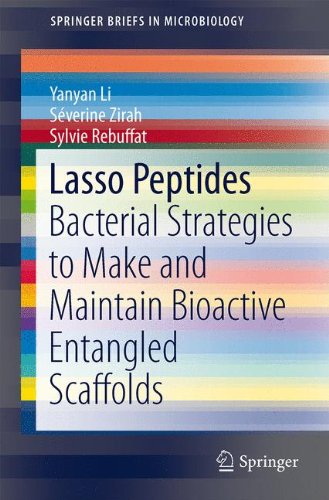 Lasso Peptides: Bacterial Strategies to Make and Maintain Bioactive Entangled Scaffolds (SpringerBriefs in Microbiology)