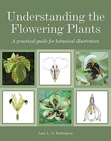 Bebbington, A: Understanding the Flowering Plants: A Practical Guide for Botanical Illustrators