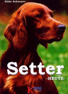 Setter heute