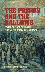 The Prison and the Gallows: The Politics of Mass Incarceration in America (Cambridge Studies in Criminology)