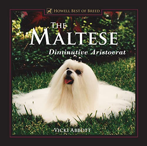 Maltese: Diminutive Aristocrat (Howell Best of Breed)