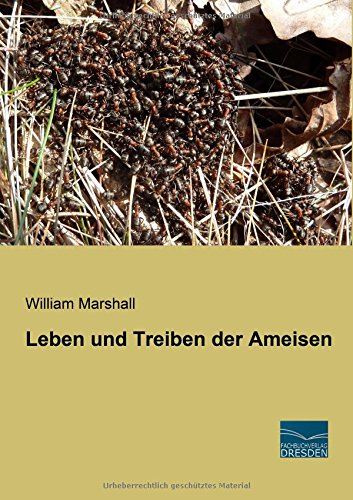 Leben und Treiben der Ameisen