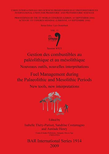 Gestion des combustibles au paléolithique et au mésolithique / Fuel Management during the Palaeolithic and Mesolithic Periods: Nouveaux outils, ... Reports British Series, Band 1914)