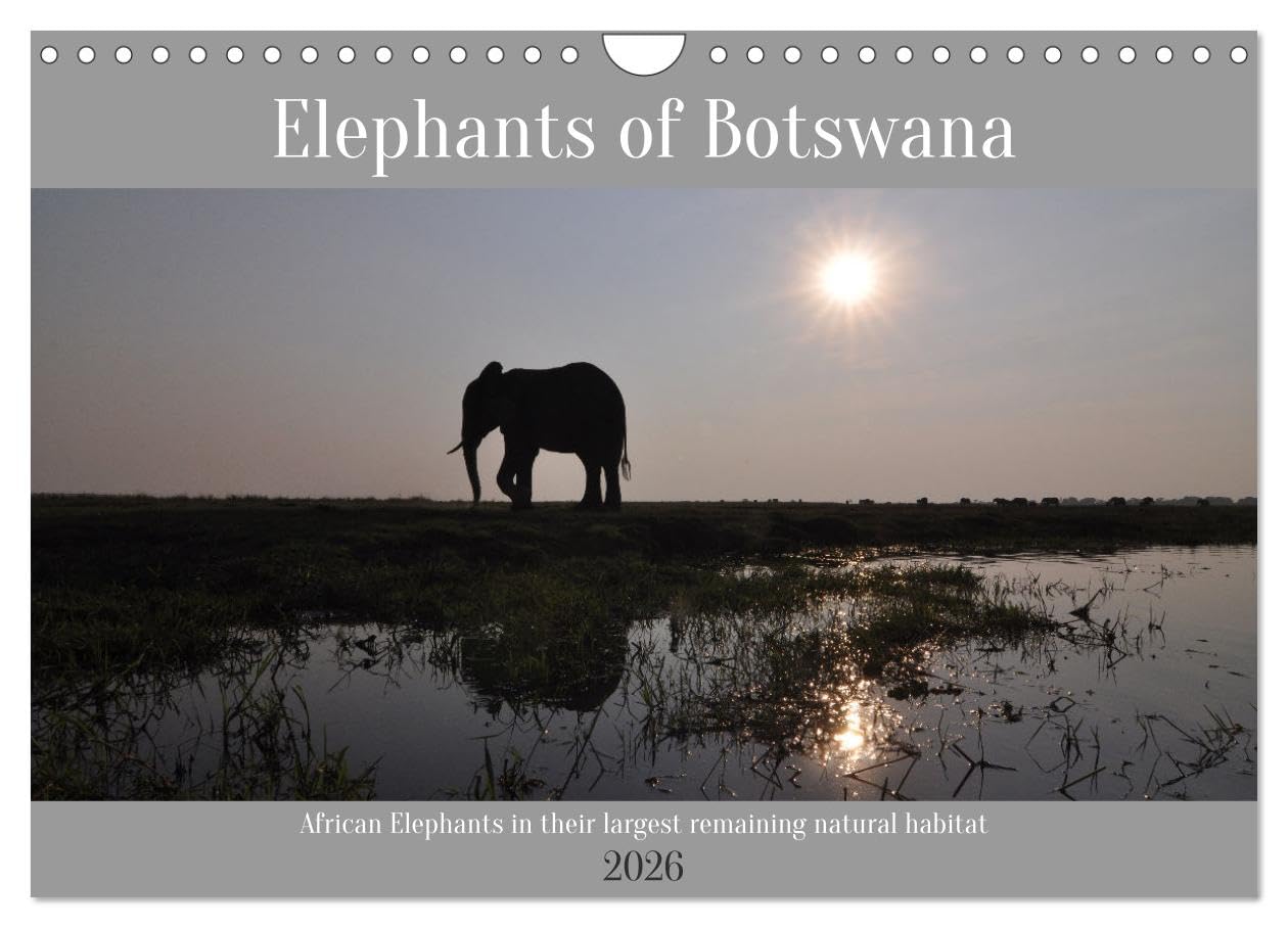 Elephants of Botswana (Wall Calendar 2026 DIN A4 landscape), CALVENDO 12 Month Wall Calendar: African elephants in their natural habitat