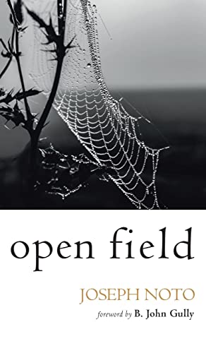 Open Field
