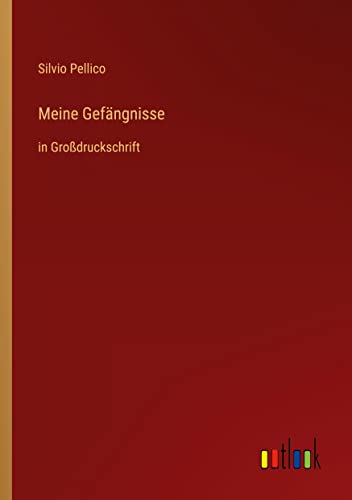 Meine Gefängnisse: in Großdruckschrift