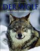 Der Wolf Wild und faszinierend