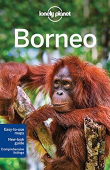 Borneo : malaysian Borneo, indonesian Kalimatan, Brunei