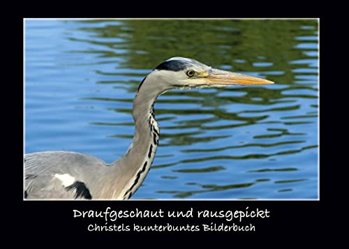 Draufgeschaut und rausgepickt: Christels kunterbuntes Bilderbuch