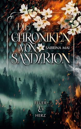 Die Chroniken von Sandarion: Feuer & Herz