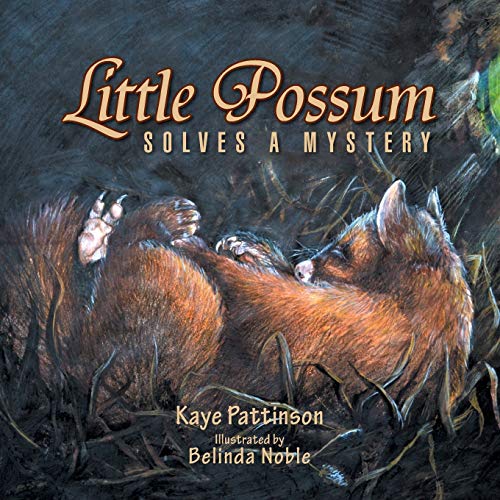 Little Possum Solves a Mystery