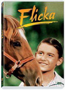 Flicka von Harold D. Schuster | DVD | Zustand gut