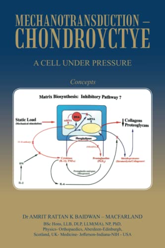 MECHANOTRANSDUCTION – CHONDROYCTYE: A CELL UNDER PRESSURE