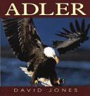 Adler