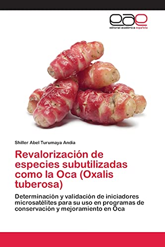 Revalorización de especies subutilizadas como la Oca (Oxalis tuberosa): Determinación y validación de iniciadores microsatélites para su uso en programas de conservación y mejoramiento en Oca