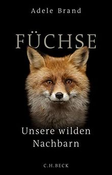 Füchse: Unsere wilden Nachbarn