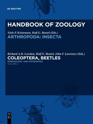 Volume 2: Morphology and Systematics (Elateroidea, Bostrichiformia, Cucujiformia partim)