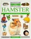 Haustiere für Kinder, Hamster