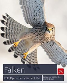 Falken: Edle Jäger - Herrscher der Lüfte