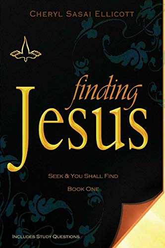 Finding Jesus (Seek & You Shall Find, Band 1)