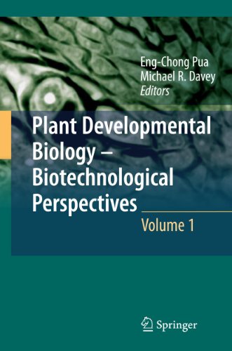 Plant Developmental Biology - Biotechnological Perspectives: Volume 1 (Plant Developmental Biology: Biotechnical Perspectives, Band 1)