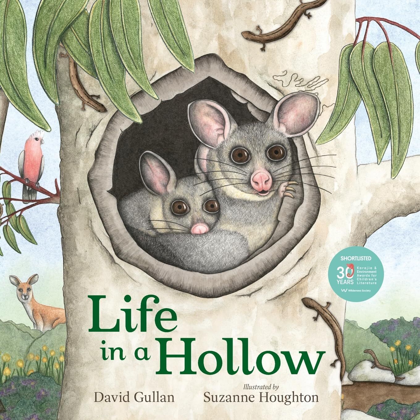 Life in a Hollow