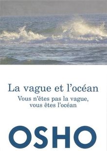 La vague et l'océan : vous n'êtes pas la vague, vous êtes l'océan