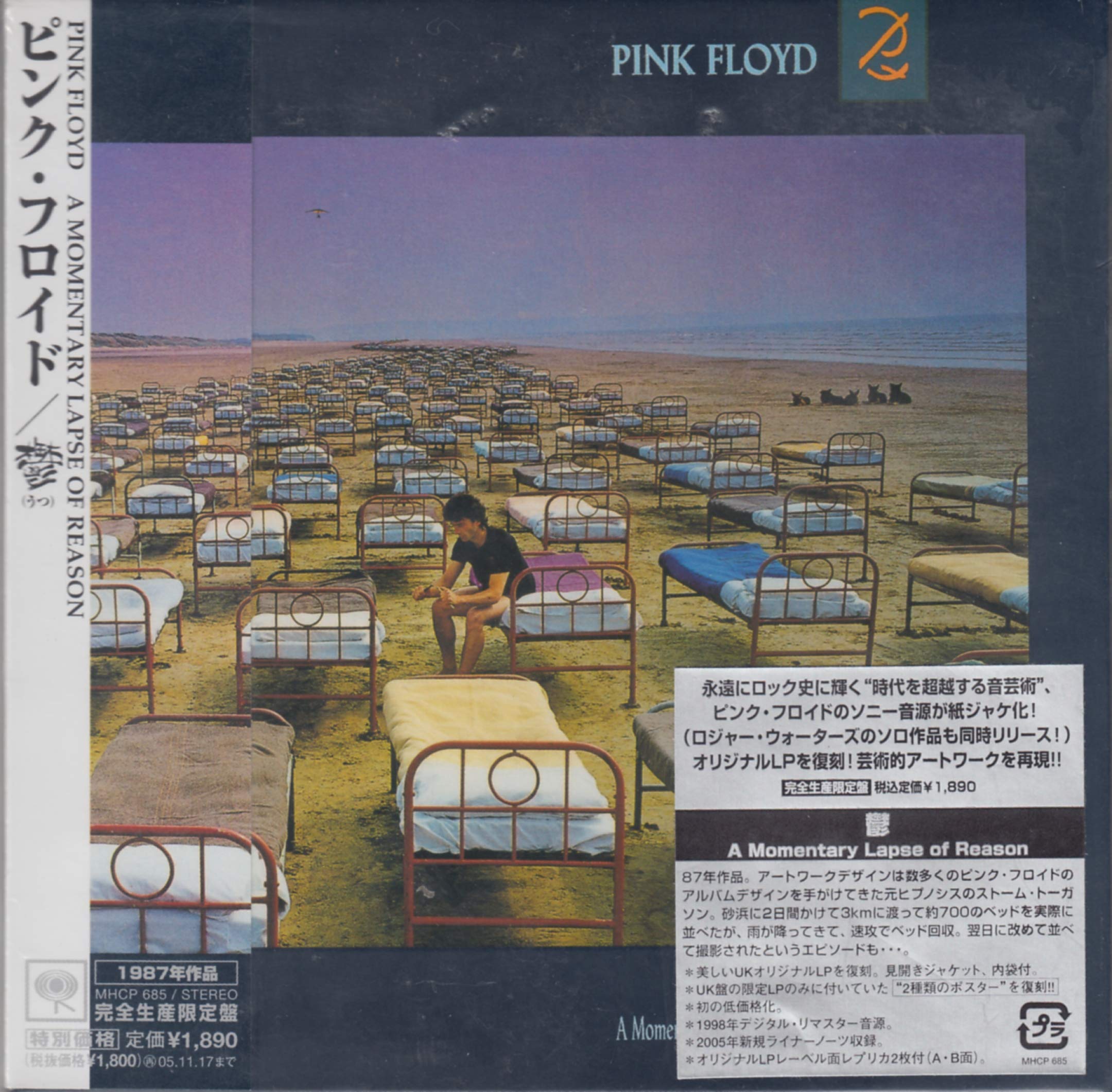 A Momentary Lapse of Reason