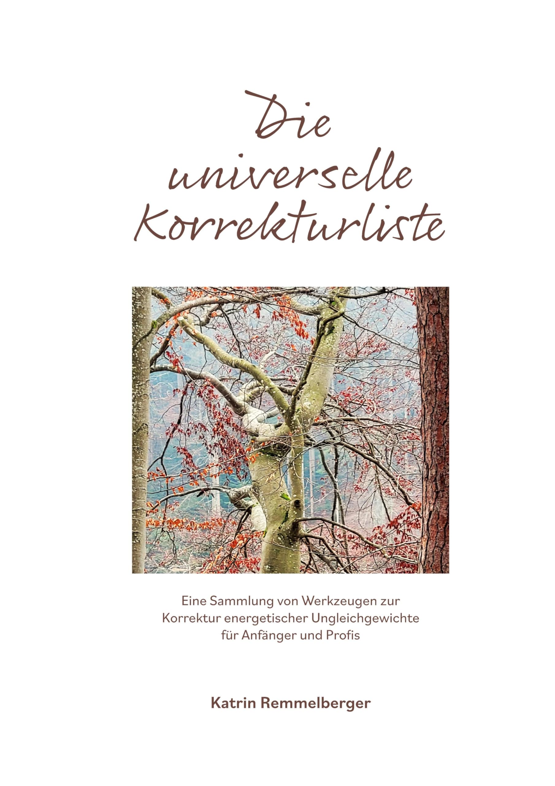 Die universelle Korrekturliste: Eine Sammlung von Werkzeugen zur Korrektur energetischer Ungleichgewichte für Anfänger und Profis